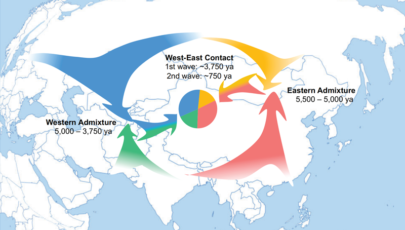 中國科學院上海營養與健康研究院研究人員解析新疆維吾爾族的遺傳祖源及基因交流歷史