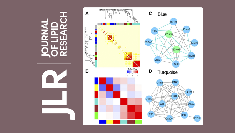 林旭研究組在多不飽和脂肪酸與代謝綜合征發病風險研究方面取得進展