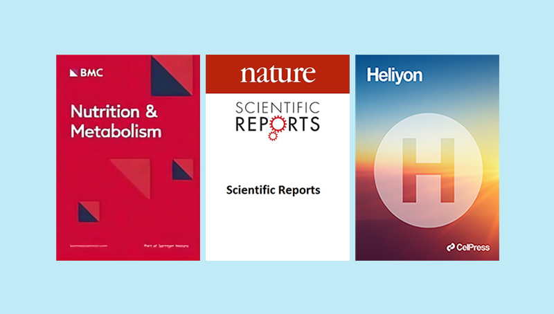 陳雁研究組在營養干預糖尿病領域取得系列進展