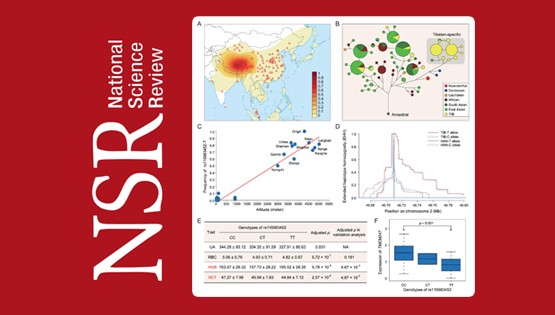 徐書華研究組構建了藏族人群全基因組水平的適應性遺傳變異圖譜
