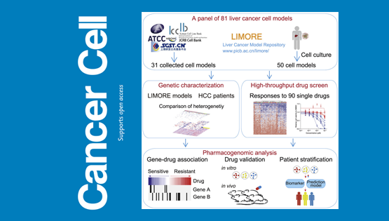 李亦學研究組合作繪制肝癌藥物基因組學的“藍圖”