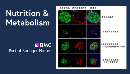 陳雁研究組揭秘間歇性節食和持續性節食對于控制糖尿病孰優孰劣