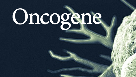 謝東研究組揭示BMP10蛋白抑制肝細胞癌發生發展的作用與機制