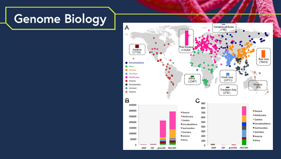 徐書華研究組發布全基因組單核苷酸變異數據庫、涵蓋近千個現存和古人族群