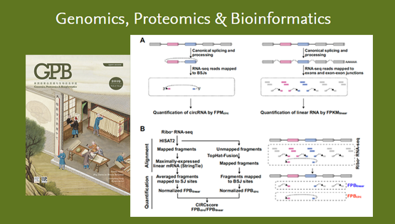 楊力研究組發布環形RNA與線性RNA定量比較新方法-CLEAR