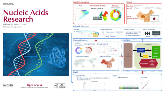 徐書華研究組和生物醫學大數據中心發布漢族10萬人基因組數據庫及在線分析平臺