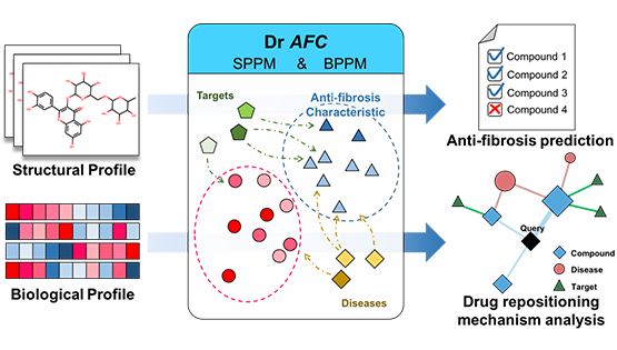大數據中心合作發布基于化合物抗纖維化特征的藥物重定位平臺