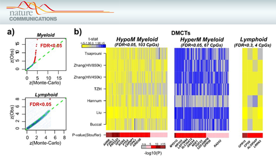 Andrew Teschendorff研究組和汪思佳研究組首次通過Meta分析闡述血液中細胞特異性的DNA甲基化改變