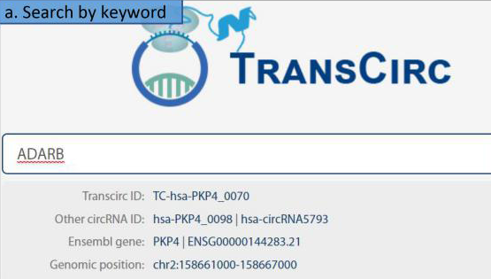 王澤峰研究組與生物醫學大數據中心合作在線發布可翻譯環形RNA數據庫