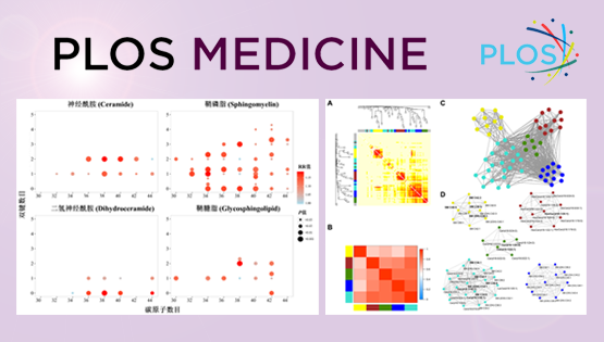 林旭研究組在鞘脂生物標記物與2型糖尿病發病風險研究方面取得進展