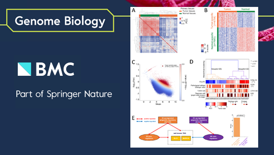 營養與健康所邵振研究組合作建立基于表觀遺傳異質性的肺腺癌病人分型模型