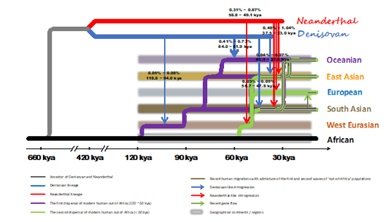 徐書華團隊發展新方法<em>ArchaicSeeker 2.0</em> 重塑史前人類基因交流與演化模型
