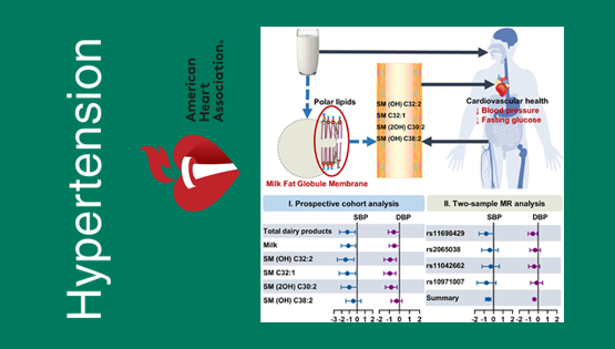 營養(yǎng)與健康所林旭、宗耕研究組在奶制品的脂質(zhì)組生物標(biāo)記物與心血管疾病風(fēng)險因素研究方面取得進展