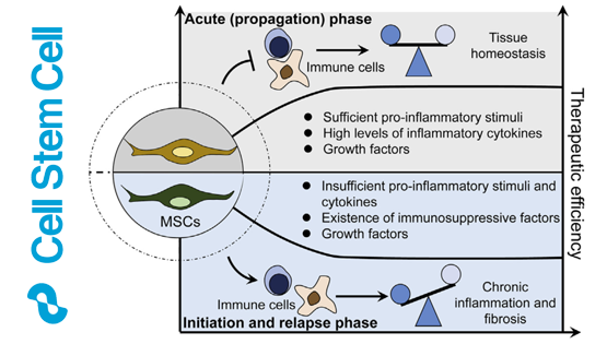 營養與健康所王瑩研究員合作撰寫《間充質干細胞與免疫反應互作》的特邀綜述