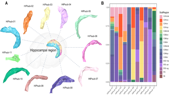 營養(yǎng)與健康所生物醫(yī)學大數(shù)據(jù)中心研發(fā)空間轉(zhuǎn)錄組數(shù)據(jù)多模態(tài)可視化工具