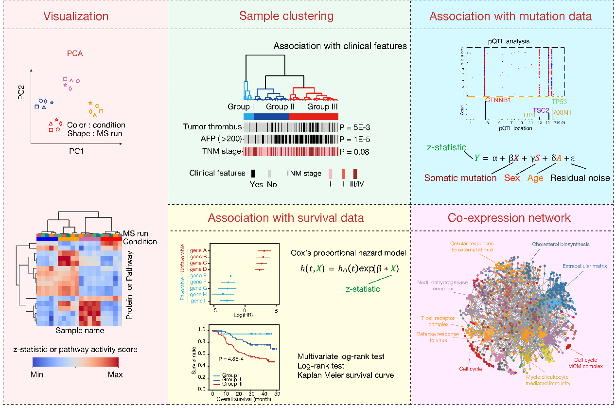 營養與健康所邵振與詹麗杏研究組合作開發蛋白質組比較算法解析紅細胞分化和肝癌異質性