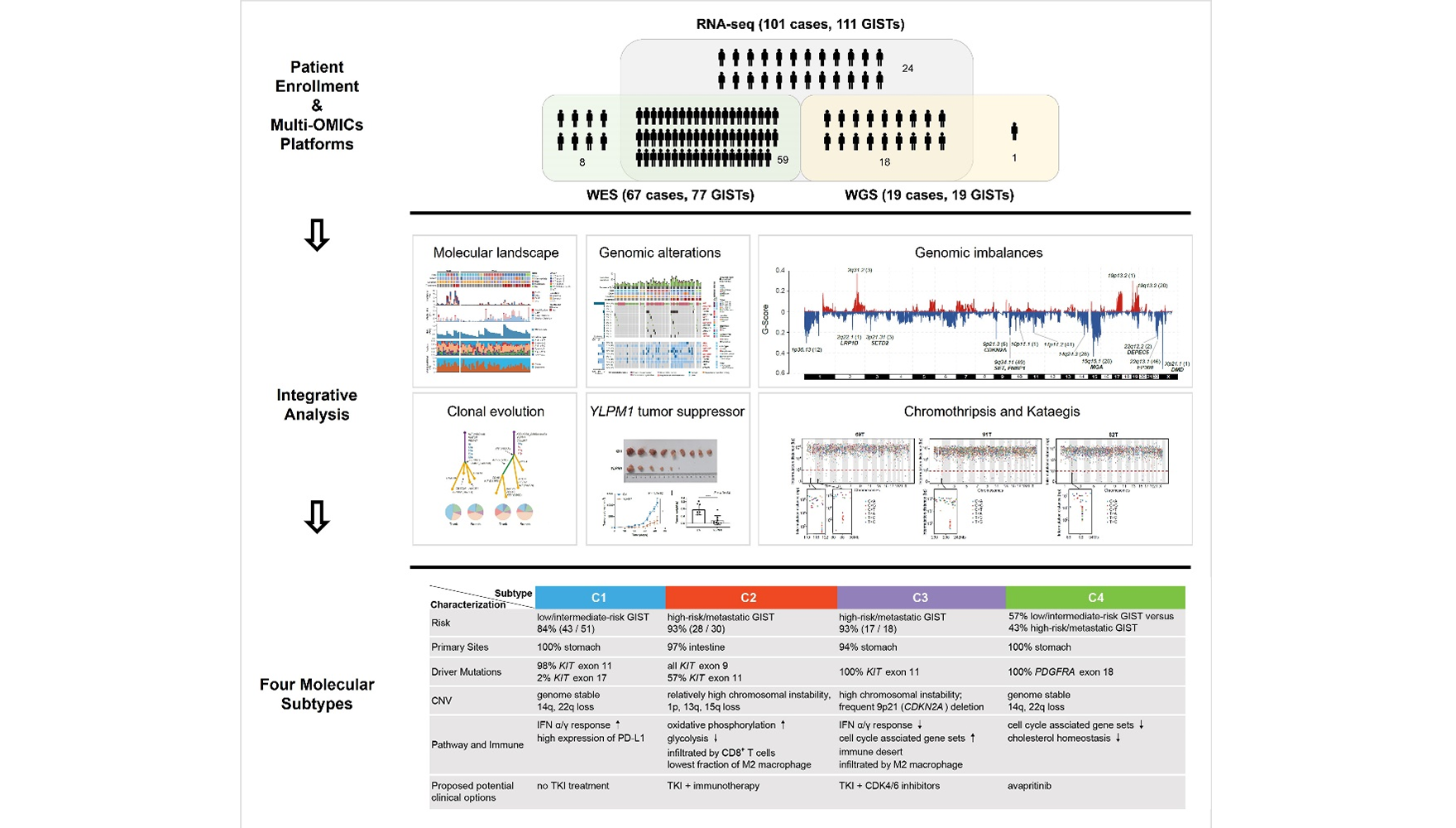 王躍祥研究組合作繪制胃腸間質瘤基因組和轉錄組圖譜并提出新的分子分型