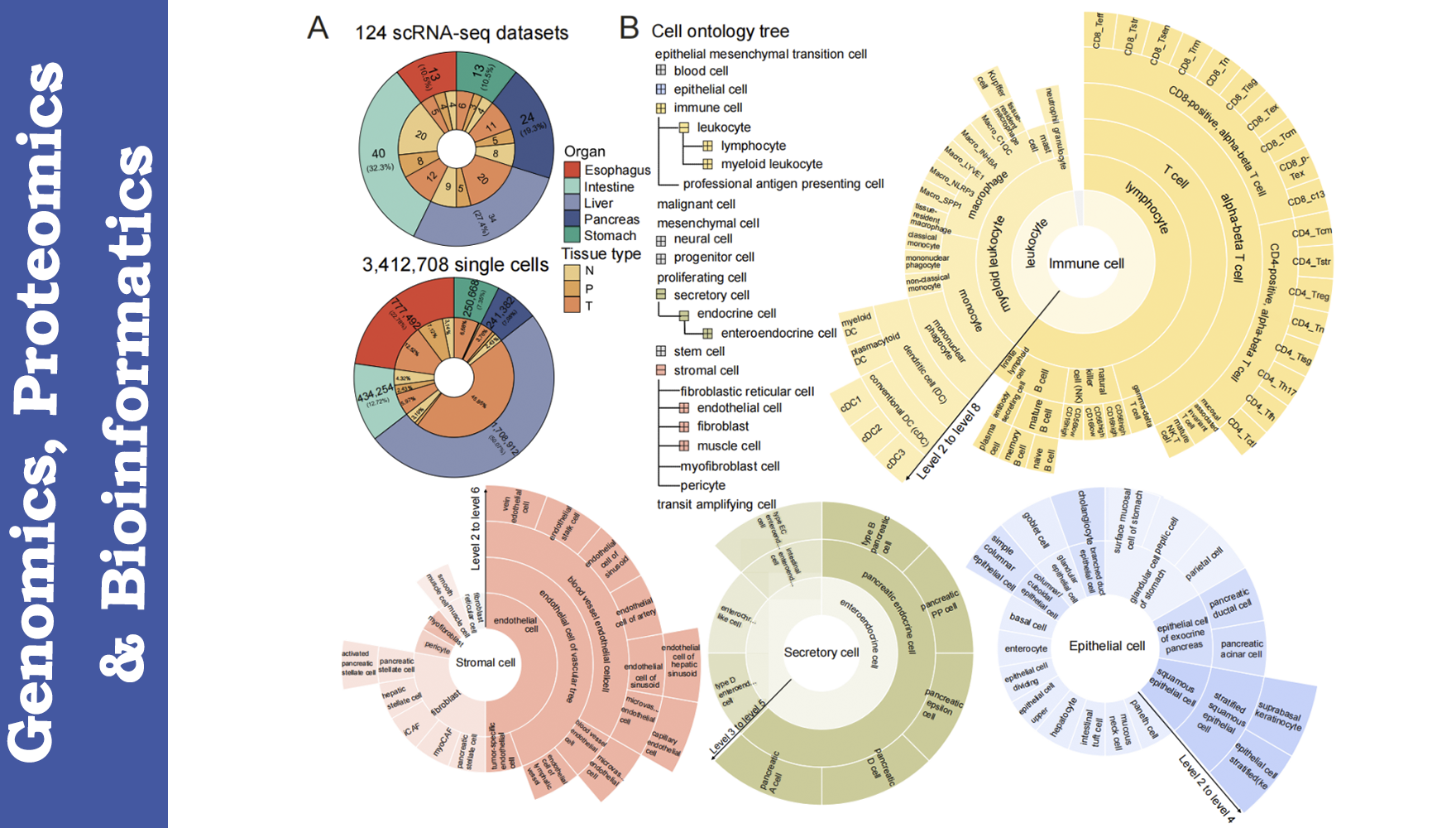 營養與健康所生物醫學大數據中心發布消化系統細胞標志物庫